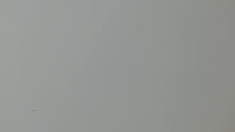 cinthia1609 online show from February 11, 2025, 2:03 am