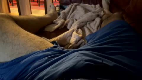 Snapshot of cj3d2 chatting on December 13, 2024, 9:52 pm Cjd32 online show from December 13, 2024, 9:52 pm