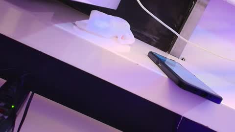 Snapshot of cleeoadams_ chatting on January 24, 2025, 7:51 am Cleo Adams online show from January 24, 2025, 7:51 am