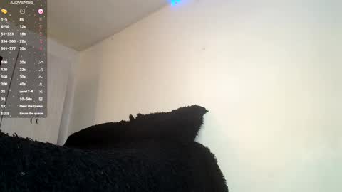 Snapshot of clermontt chatting on February 23, 2025, 4:57 pm clermontt online show from February 23, 2025, 4:57 pm