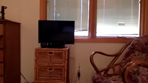 Snapshot of codebynova chatting on November 8, 2025, 7:56 pm Code By Nova online show from November 8, 2025, 7:56 pm