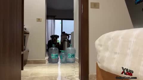 colbyknox online show from September 20, 2025, 11:06 pm