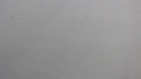 Snapshot of colombia_mommy_ chatting on January 16, 2025, 12:31 pm GRETCHEN online show from January 16, 2025, 12:31 pm