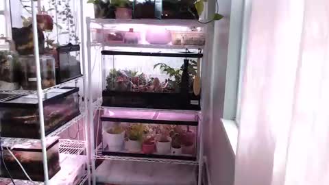 Snapshot of constantcumquest chatting on November 14, 2025, 3:44 pm ANR Mommy online show from November 14, 2025, 3:44 pm