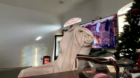 controllercutie online show from December 17, 2025, 2:45 pm