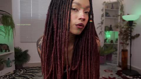 ROSELL 3   online show from December 11, 2024, 5:37 pm