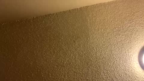 couplebroad_ online show from March 3, 2025, 6:48 am