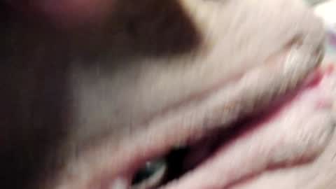 Snapshot of courtney_luv chatting on January 30, 2025, 3:40 pm Im Courtney Nice to meet youFollow meInstagram courtneyluv778 online show from January 30, 2025, 3:40 pm