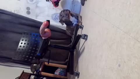 Snapshot of crazy4feetmanic chatting on October 29, 2025, 6:15 am drbucknaked online show from October 29, 2025, 6:15 am