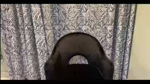 Snapshot of creamonmycakes chatting on September 12, 2025, 10:04 am CreamOnMyCakes online show from September 12, 2025, 10:04 am