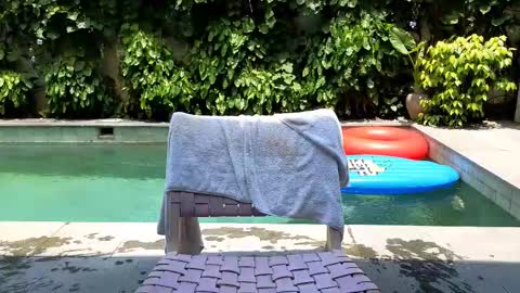 Lin inst lingoodyy online show from February 25, 2025, 3:52 am