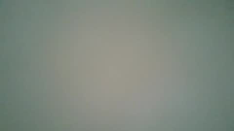 ctbddc online show from January 30, 2025, 2:04 pm