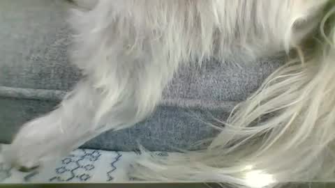 Snapshot of cumfestlover chatting on September 14, 2025, 11:26 pm cumfestlover online show from September 14, 2025, 11:26 pm