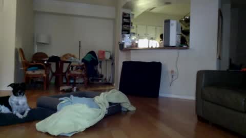 Snapshot of cumfiesta1 chatting on January 1, 2025, 4:29 pm cumfiesta1 online show from January 1, 2025, 4:29 pm