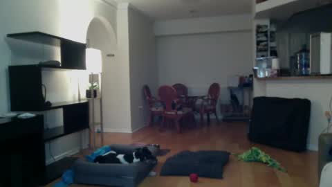 Snapshot of cumfiesta1 chatting on February 2, 2025, 4:22 pm cumfiesta1 online show from February 2, 2025, 4:22 pm