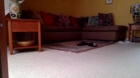 Snapshot of cumonherguys chatting on November 6, 2025, 8:04 am cumonherguys online show from November 6, 2025, 8:04 am