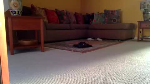 Snapshot of cumonherguys chatting on November 8, 2025, 8:36 am cumonherguys online show from November 8, 2025, 8:36 am