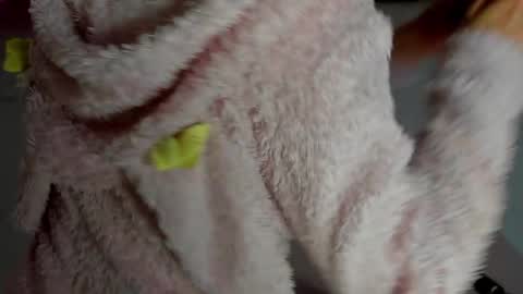 Antonia online show from November 12, 2025, 11:14 pm