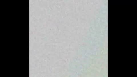 curlybutterfly online show from October 29, 2025, 10:00 pm