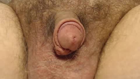 Snapshot of curve66 chatting on February 6, 2025, 4:25 pm curve66 online show from February 6, 2025, 4:25 pm