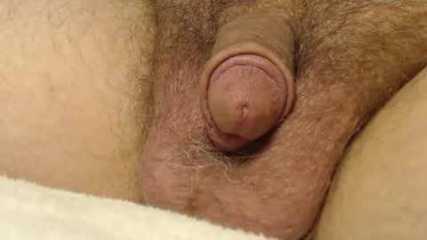 Snapshot of curve66 chatting on October 22, 2025, 1:06 am curve66 online show from October 22, 2025, 1:06 am