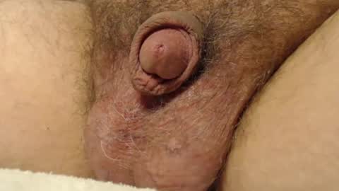 Snapshot of curve66 chatting on November 17, 2025, 11:10 pm curve66 online show from November 17, 2025, 11:10 pm