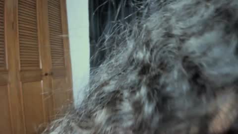 Snapshot of curvypornxxx chatting on January 24, 2025, 10:43 am curvypornxxx online show from January 24, 2025, 10:43 am