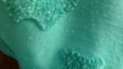 cutebuu online show from November 21, 2025, 8:51 pm