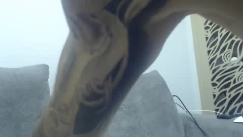 Snapshot of cuteeboy chatting on December 2, 2025, 8:37 pm cuteeboy online show from December 2, 2025, 8:37 pm