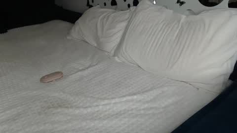 Snapshot of cuteemouse chatting on January 27, 2025, 1:52 pm Anna online show from January 27, 2025, 1:52 pm