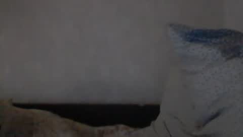 Snapshot of cutekattie chatting on December 8, 2024, 9:24 am cutekattie online show from December 8, 2024, 9:24 am