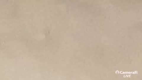 Snapshot of daddybigwhitecock chatting on September 20, 2025, 10:05 am Tommy online show from September 20, 2025, 10:05 am