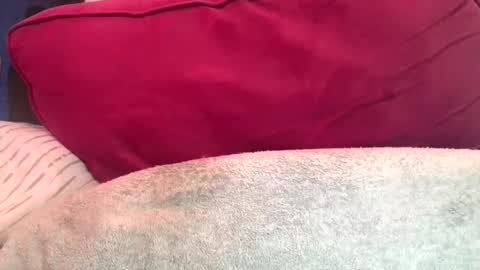 Snapshot of daddyy008 chatting on September 10, 2025, 9:48 pm daddyy008 online show from September 10, 2025, 9:48 pm