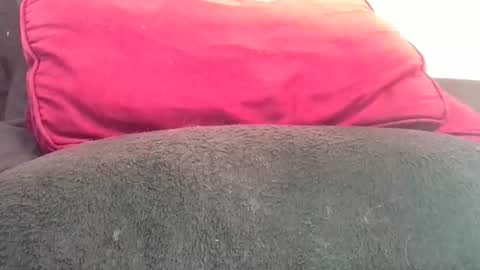 Snapshot of daddyy008 chatting on November 7, 2025, 4:29 pm daddyy008 online show from November 7, 2025, 4:29 pm