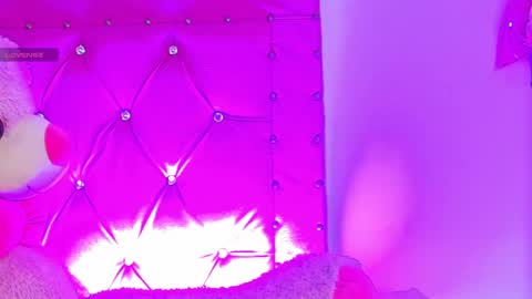    online show from February 22, 2025, 8:29 am