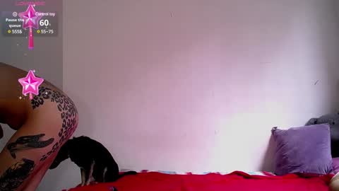 Snapshot of dakota_and_aron chatting on December 5, 2024, 7:06 pm Dakota and Aron online show from December 5, 2024, 7:06 pm