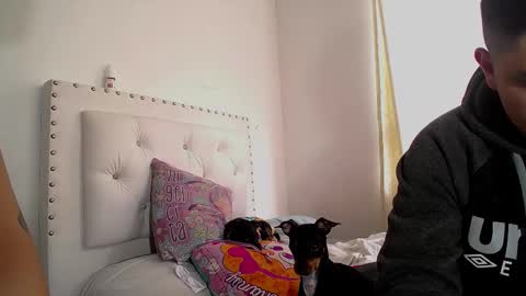 Snapshot of dakota_and_aron chatting on March 6, 2025, 7:32 pm Dakota and Aron online show from March 6, 2025, 7:32 pm