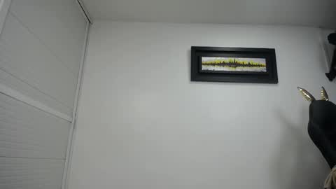 dalia dubey online show from February 17, 2025, 4:15 pm