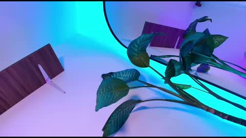 Dalila online show from November 8, 2025, 10:48 am