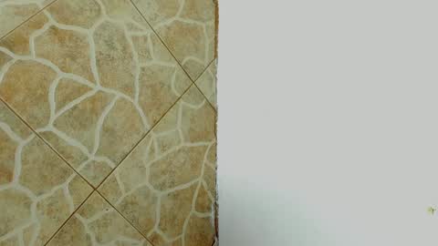         online show from February 8, 2025, 7:04 am