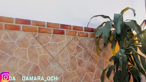         online show from February 22, 2025, 7:45 am