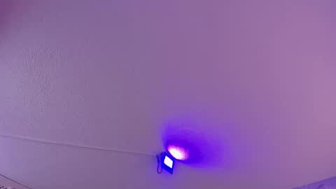 Snapshot of danee_19 chatting on March 11, 2025, 10:51 am Daniela online show from March 11, 2025, 10:51 am