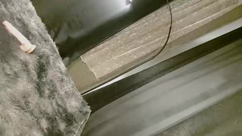 Snapshot of dangerouscock69_nica chatting on September 10, 2025, 8:25 am Nica online show from September 10, 2025, 8:25 am