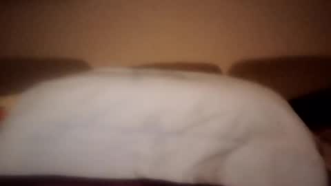 Snapshot of dani225812 chatting on September 18, 2025, 8:44 pm Dani225812 online show from September 18, 2025, 8:44 pm