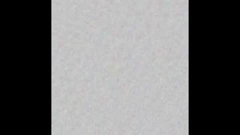 Dani Brasil online show from December 21, 2025, 2:30 am