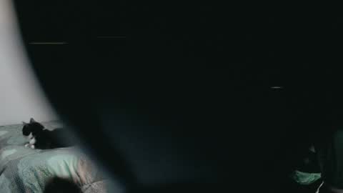 Snapshot of dani_jocelyn chatting on March 2, 2025, 11:53 pm dani y jocelyn online show from March 2, 2025, 11:53 pm