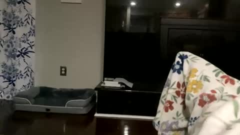 Snapshot of dannyboy621 chatting on October 17, 2025, 11:24 am dannyboy621 online show from October 17, 2025, 11:24 am