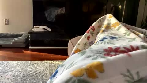 Snapshot of dannyboy621 chatting on October 26, 2025, 1:17 pm dannyboy621 online show from October 26, 2025, 1:17 pm