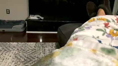 Snapshot of dannyboy621 chatting on October 30, 2025, 9:33 am dannyboy621 online show from October 30, 2025, 9:33 am