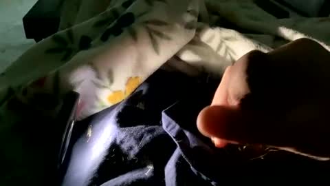 Snapshot of dannyboy621 chatting on November 9, 2025, 1:53 pm dannyboy621 online show from November 9, 2025, 1:53 pm